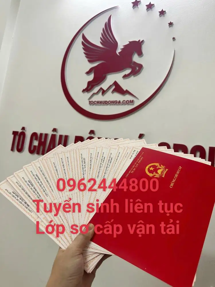 Học chứng chỉ sơ cấp vận tải tại Thanh Hóa